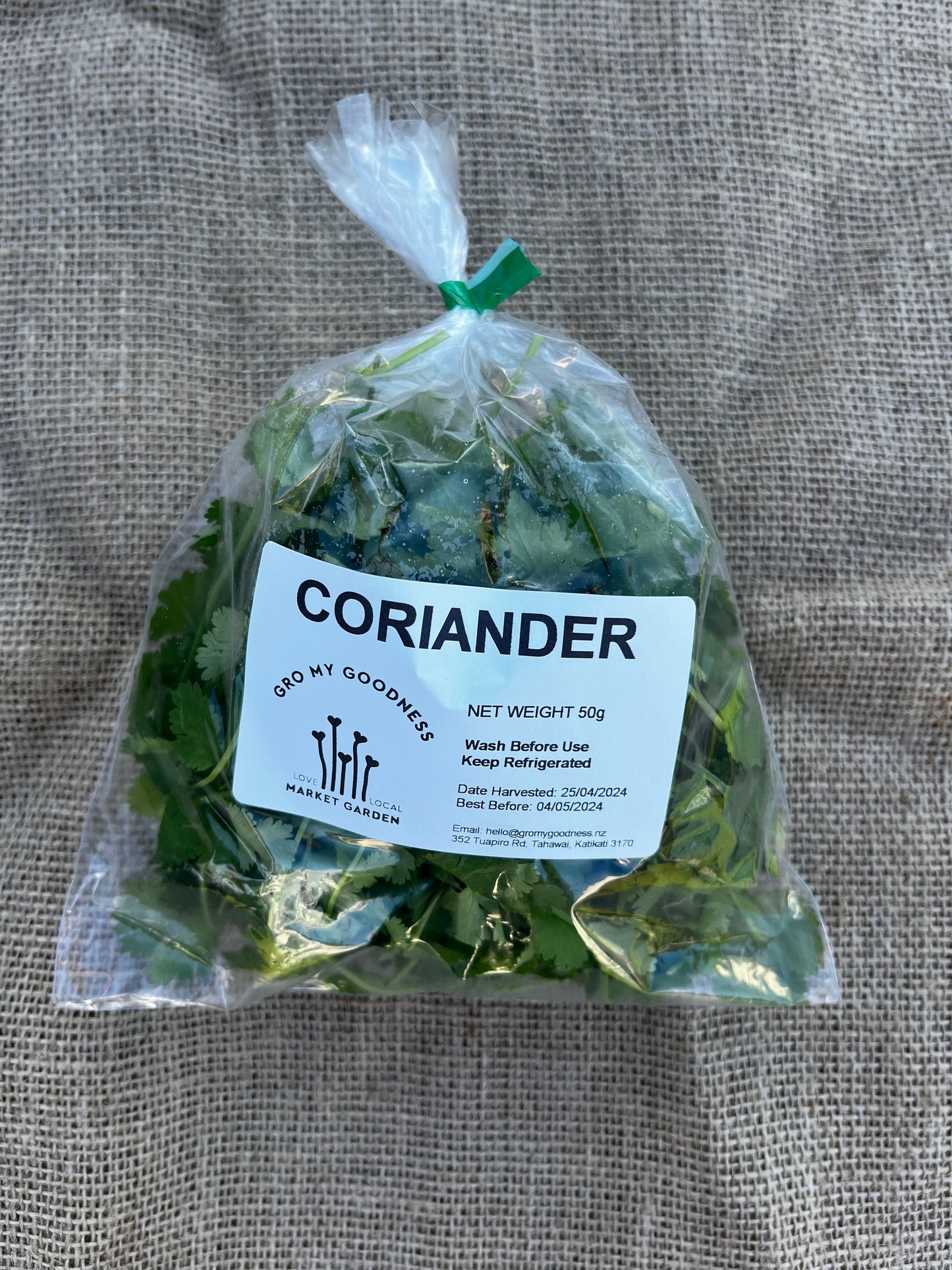 CORIANDER